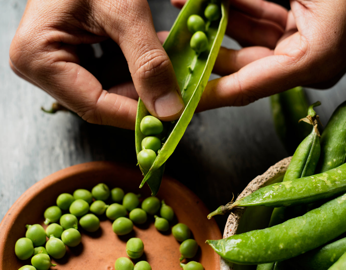 RollinGreens plant-based protein made from peas.